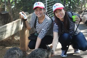 People at the zoo patting kangoroos