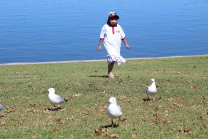 A little girl playing with birds