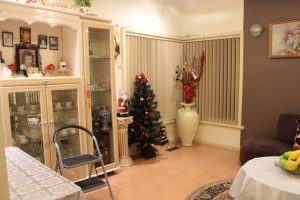 Christmas tree in the living room