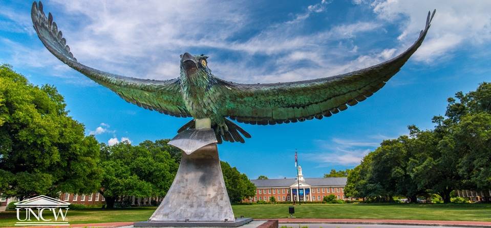 Earn a UNCW certificate this summer!